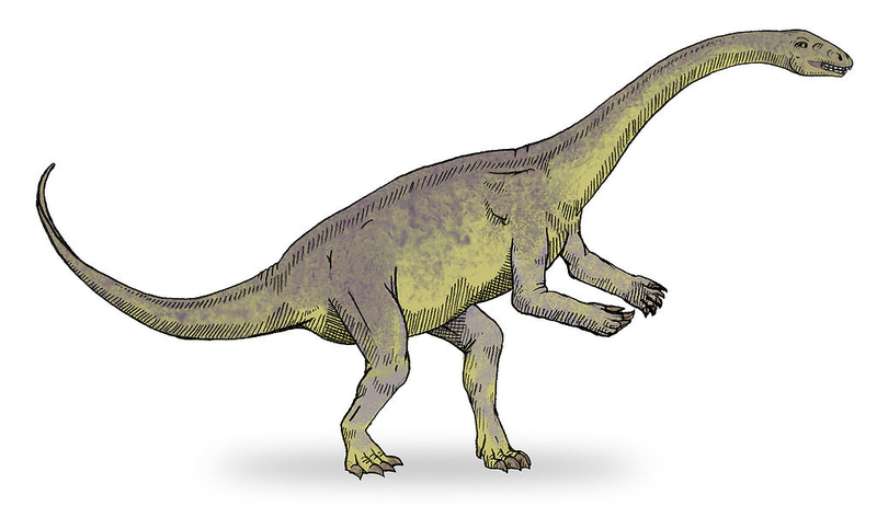 Lufengosaurus (Image: Debivort/Wikimedia Commons)